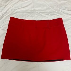 Zara Mini Skirt